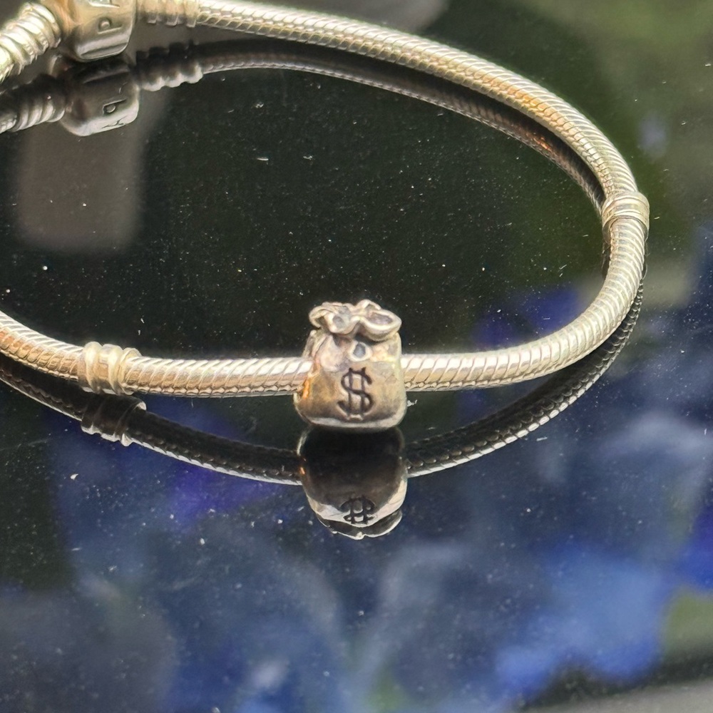Authentic Pandora Money Bag Charm